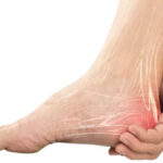 parasympathetic response blog